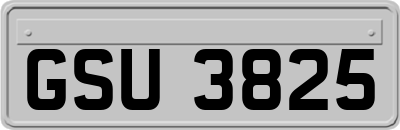 GSU3825