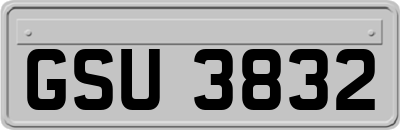 GSU3832