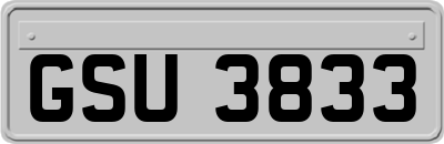 GSU3833