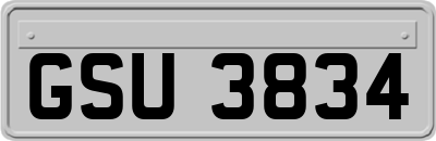 GSU3834