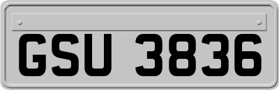 GSU3836