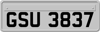 GSU3837