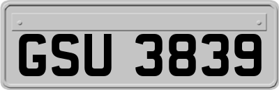 GSU3839