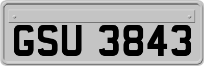 GSU3843