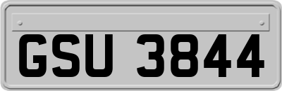 GSU3844
