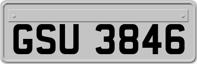 GSU3846