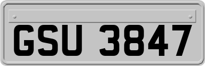 GSU3847