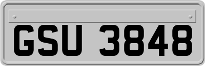 GSU3848