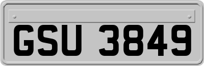 GSU3849