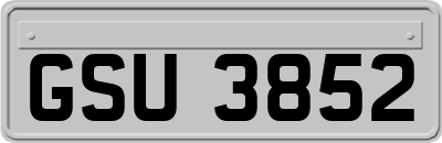 GSU3852