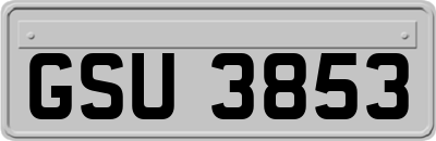 GSU3853
