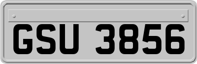 GSU3856