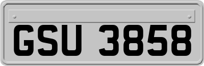 GSU3858