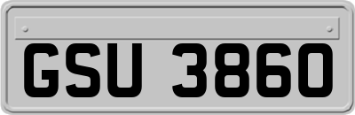 GSU3860