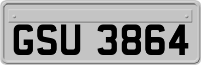 GSU3864