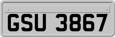 GSU3867