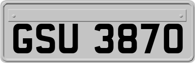 GSU3870