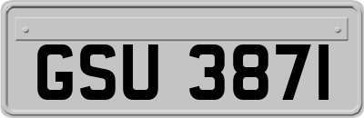 GSU3871