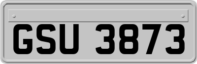 GSU3873