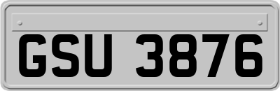 GSU3876
