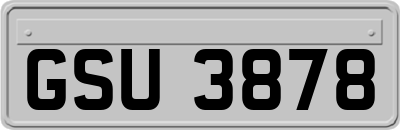 GSU3878