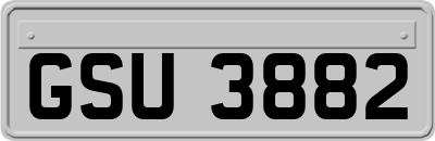 GSU3882