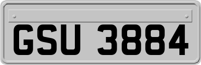 GSU3884