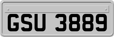 GSU3889