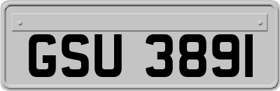 GSU3891