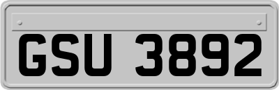 GSU3892