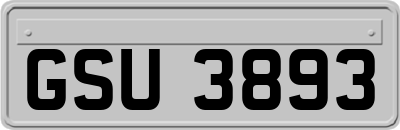 GSU3893