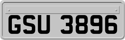 GSU3896