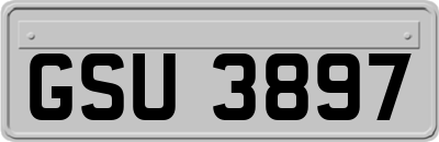 GSU3897