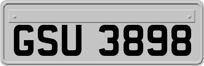GSU3898