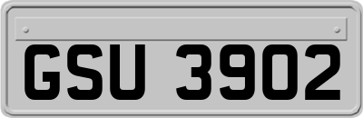 GSU3902