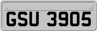 GSU3905