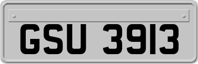 GSU3913