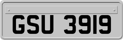 GSU3919