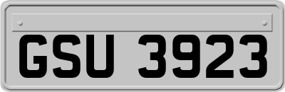 GSU3923