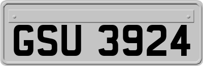 GSU3924
