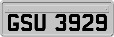 GSU3929