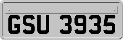 GSU3935