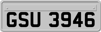 GSU3946