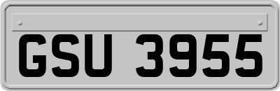 GSU3955