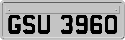 GSU3960
