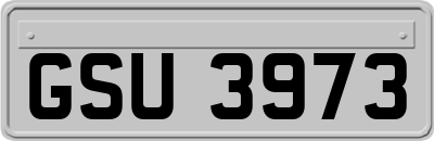 GSU3973