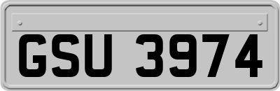 GSU3974