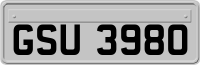 GSU3980