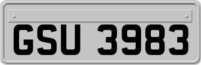 GSU3983