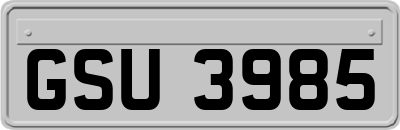 GSU3985